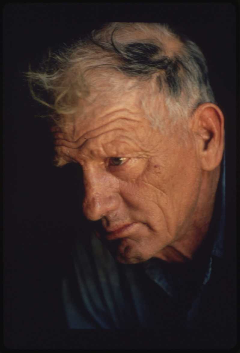 Crecimiento desbloqueado